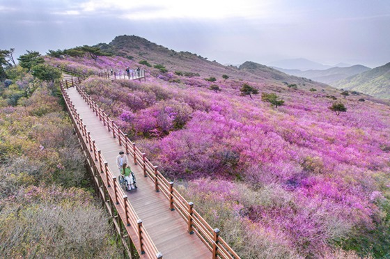 2021년 열린관광지 대구 비슬산 군립공원. ⓒ문화체육관광부