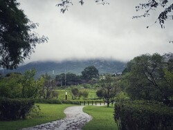 이응노의 집 안개 낀 풍경