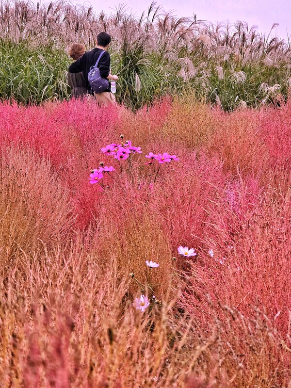 가을 속, 서로를 마주한 순간. ©하석미