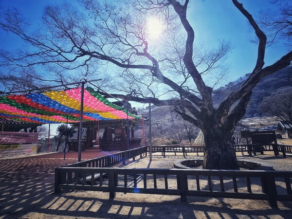푸른 하늘 아래 알록달록한 연등이 걸린 고즈넉한 풍경. ©하석미