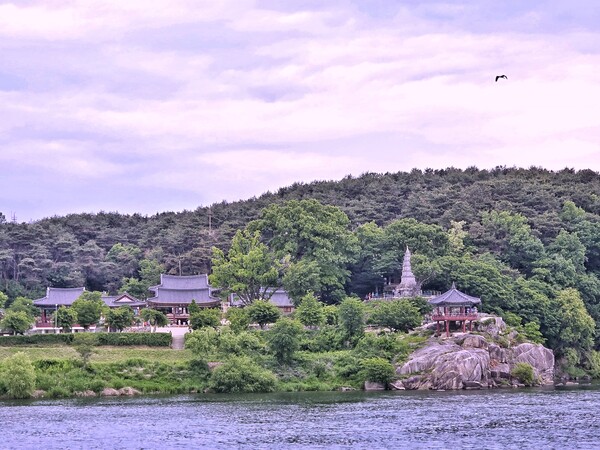 강 건너에서 바라본 신륵사의 평화로운 풍경. ©하석미