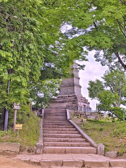 나무 사이로 고요히 우뚝 선 신륵사 다층전탑. ©하석미