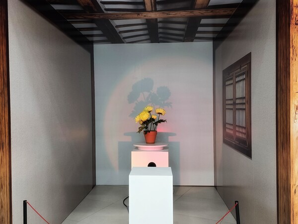 국영시서의 고요함, 국화꽃과 촛불 그림자가 전하는 다산의 사유. ©하석미