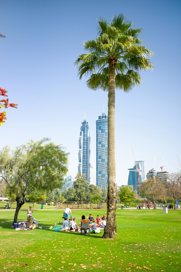 ©Photo by Julius Yls on Unsplash