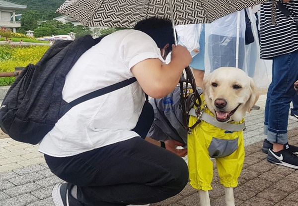 시각장애인 안내견 모습.에이블뉴스DB