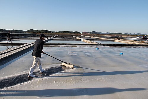 신안군 증도 태평염전 전경(사진은 기사와 무관). ©위키백과