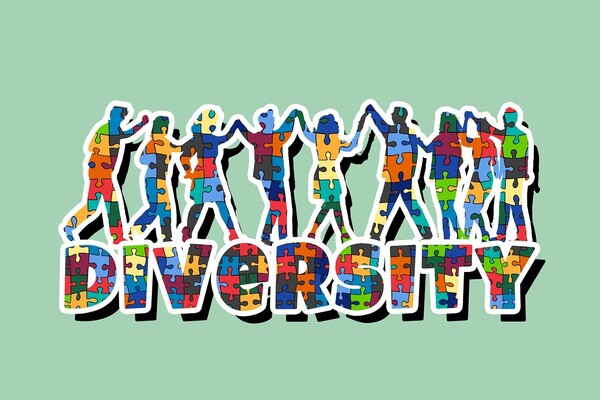 참여적 동화(Participatory Assimilation)에서 털파햐 서로 손에 손을 맞잡고 다양성으로. ⓒ Pixabay