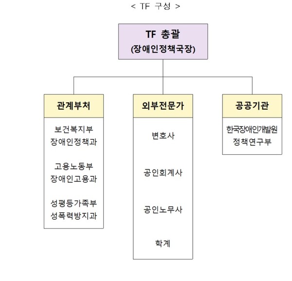보건복지부가 복지부 소관 장애인 단체의 투명하고 공정한 운영을 지원하기 위해 관계부처 및 외부 전문가 등과 TF를 통해 단체운영 지침(안) 마련을 추진한다.TF구성 모습.ⓒ보건복지부