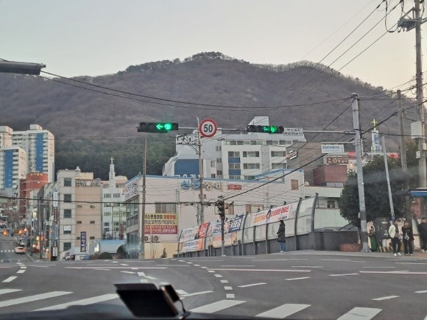 다섯 가지 신호등의 녹색 화살표. ⓒ이복남